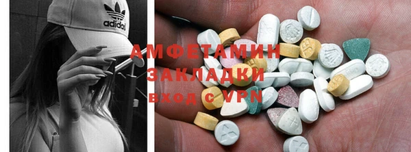 гидра Ельня