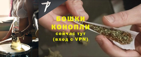 гидра Ельня