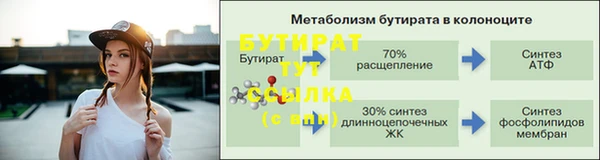 гидра Ельня