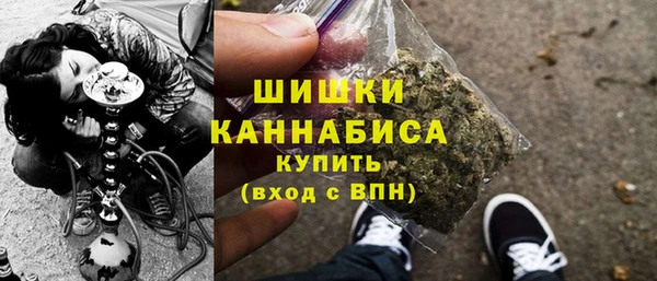 гидра Ельня
