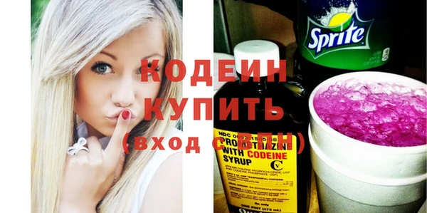 гидра Ельня