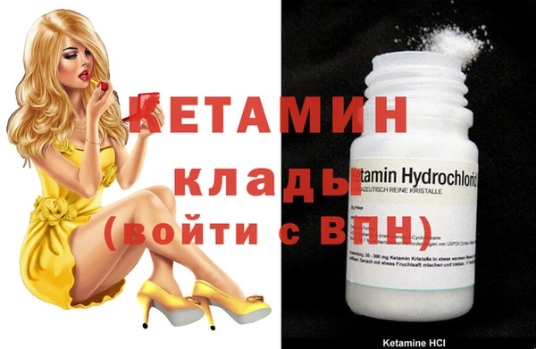гидра Ельня
