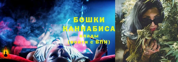 гидра Ельня