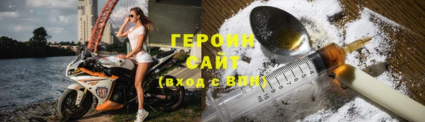 гидра Ельня