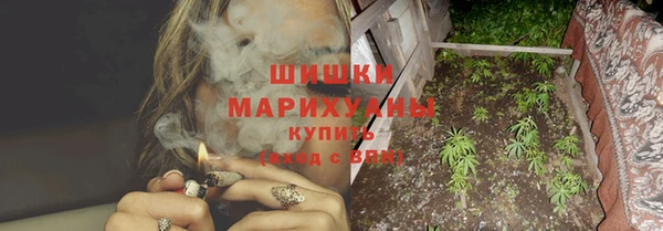 гидра Ельня