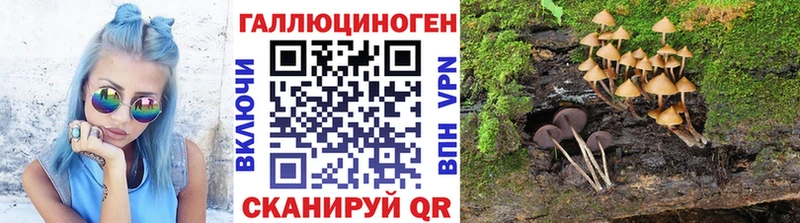 Галлюциногенные грибы ЛСД  Купить где  Карабулак 